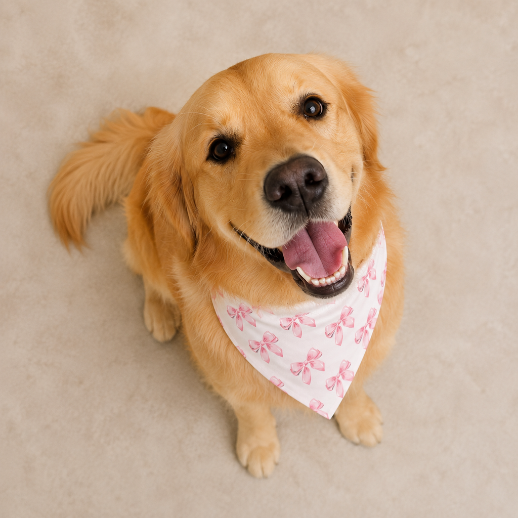 Pink Bow Pet Bandana | Bella's Paws