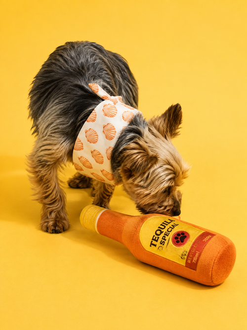 Beverage Bottle Plush Dog Toys